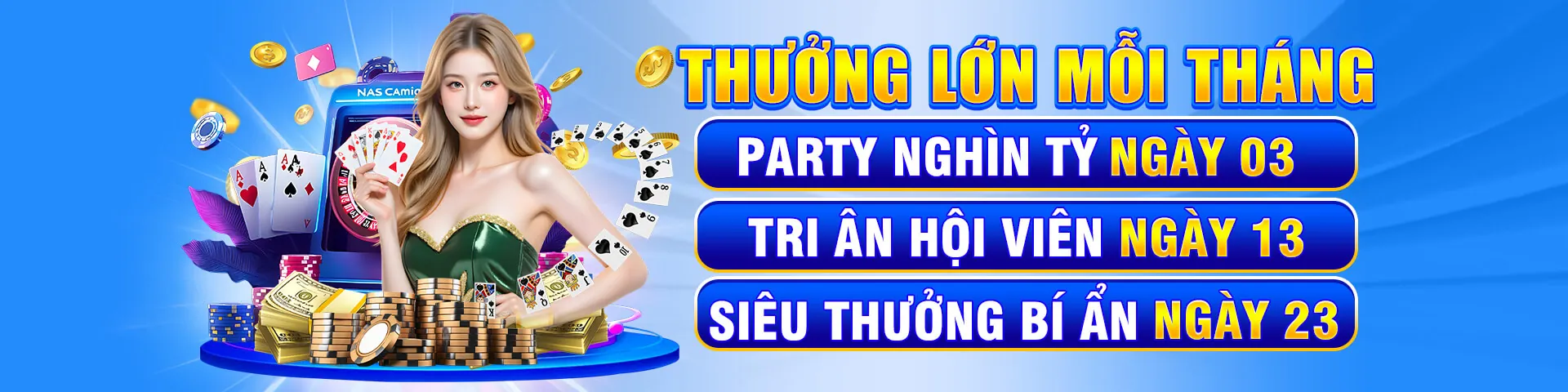 Hình ảnh tổng quan về ga13net